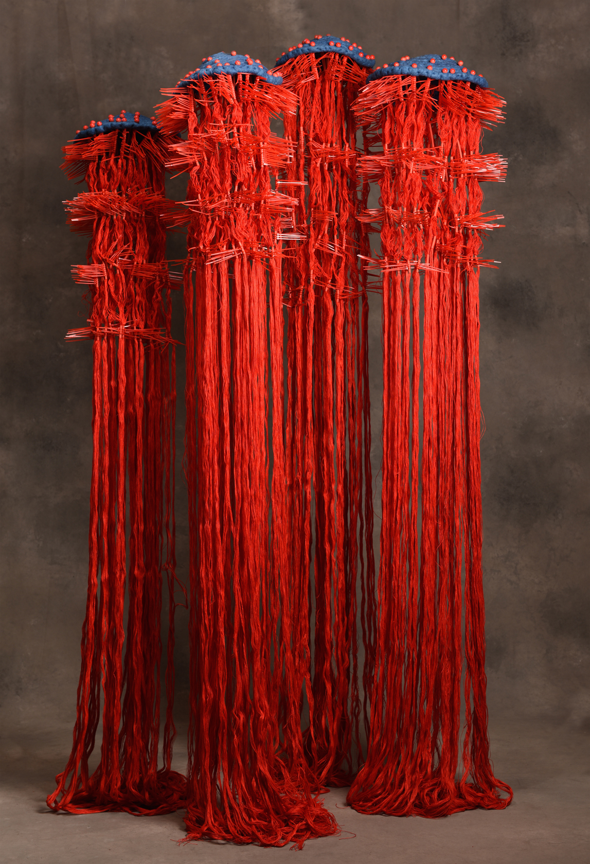 MEDUSA2PETITE©PHILIPPE DENIS